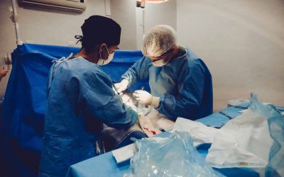 Heart Bypass vs Gastric Bypass – an eyeopener